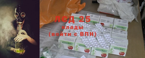 индика Аркадак