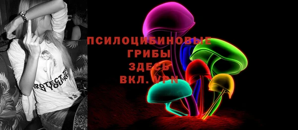 индика Аркадак