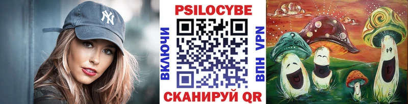 Псилоцибиновые грибы GOLDEN TEACHER  продажа наркотиков  Приморско-Ахтарск 