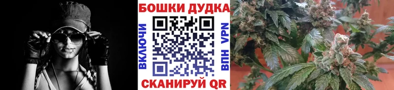 Конопля планчик  купить наркоту  Приморско-Ахтарск 